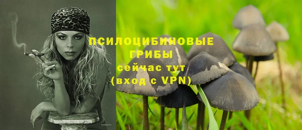 не бодяженный Гусь-Хрустальный