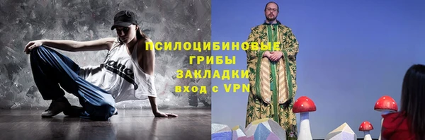 дурь Гусиноозёрск
