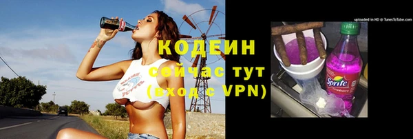 не бодяженный Гусь-Хрустальный