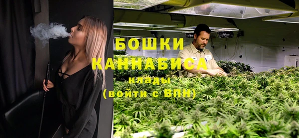дурь Гусиноозёрск