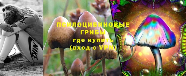 дурь Гусиноозёрск