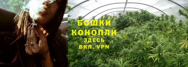 дурь Гусиноозёрск