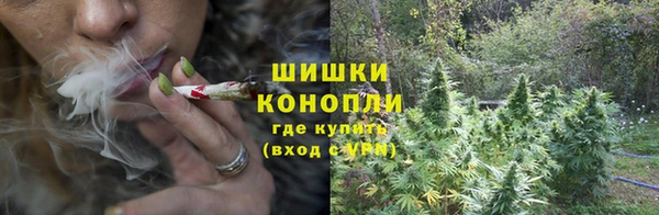 дурь Гусиноозёрск