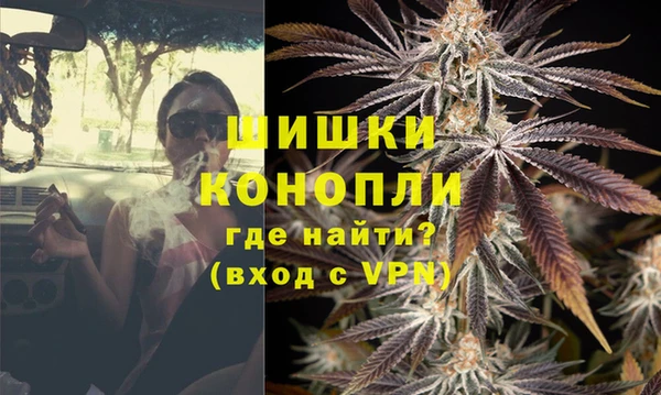 дурь Гусиноозёрск